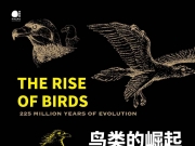 《鸟类的崛起：2 25亿年的进化》（全本） 电子工业出版社出版  作者：[美] 桑卡斯·查特吉 【EPUB/PDF/MOBI】